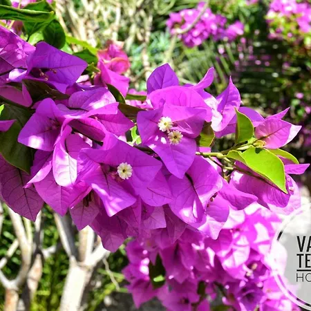 Deluxe With Private Pool El Duque By Vapago Tenerife 别墅