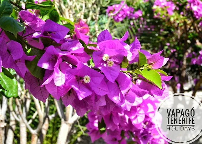 Deluxe With Private Pool El Duque By Vapago Tenerife 빌라